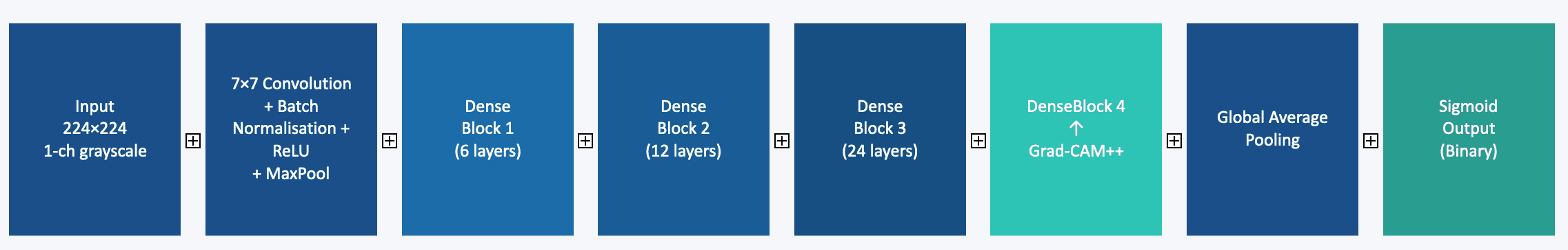 Diagram of the DenseNet-121 architecture: grayscale 224 by 224 input, initial convolution, dense blocks, global average pooling and a single sigmoid output.