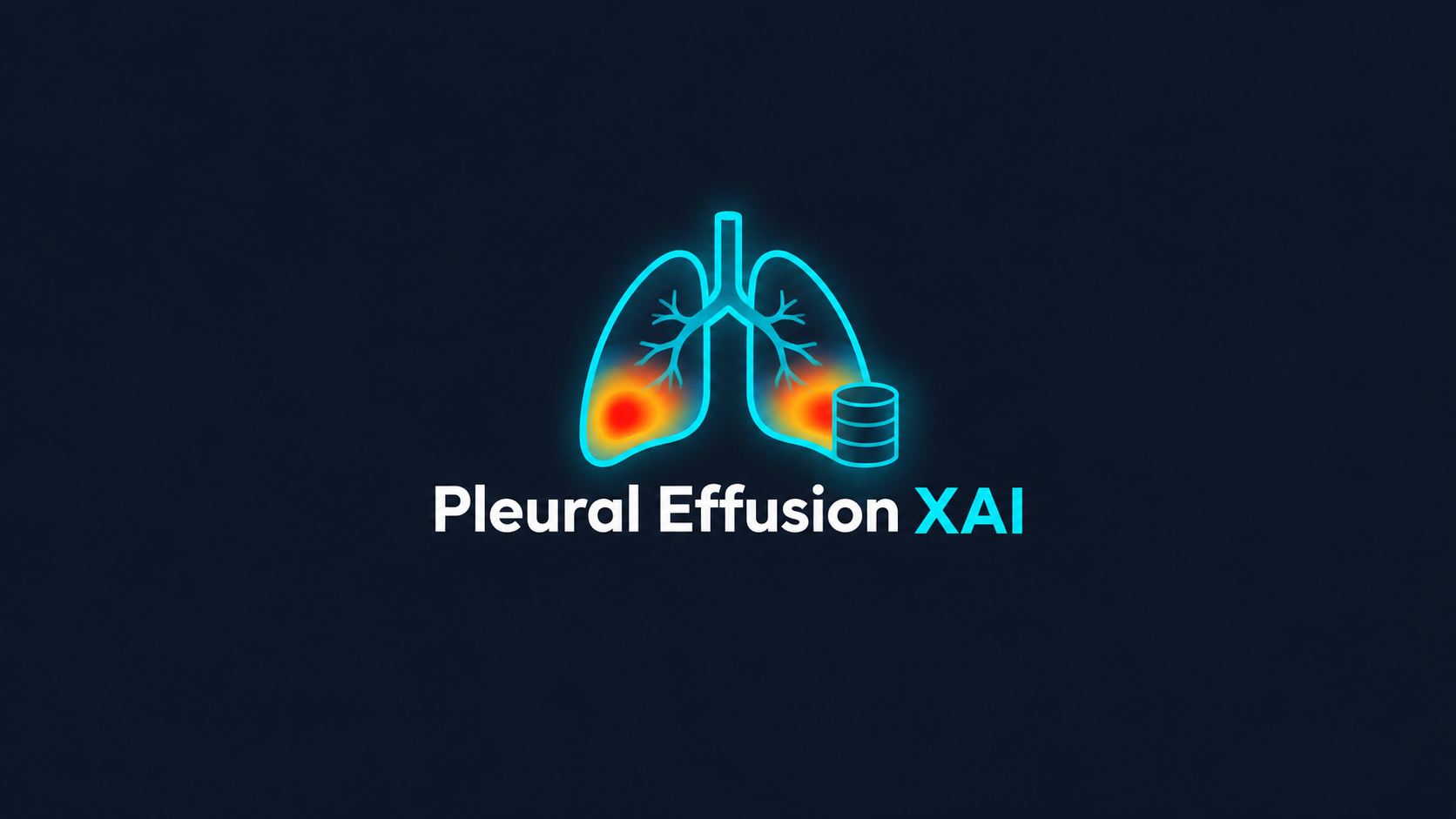 Explainable AI for Pleural Effusion Detection
